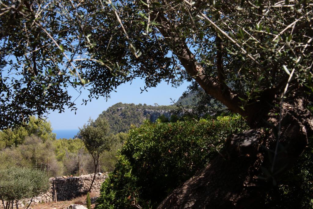 Ca's Garriguer Séjour à la ferme Valldemossa (Mallorca)